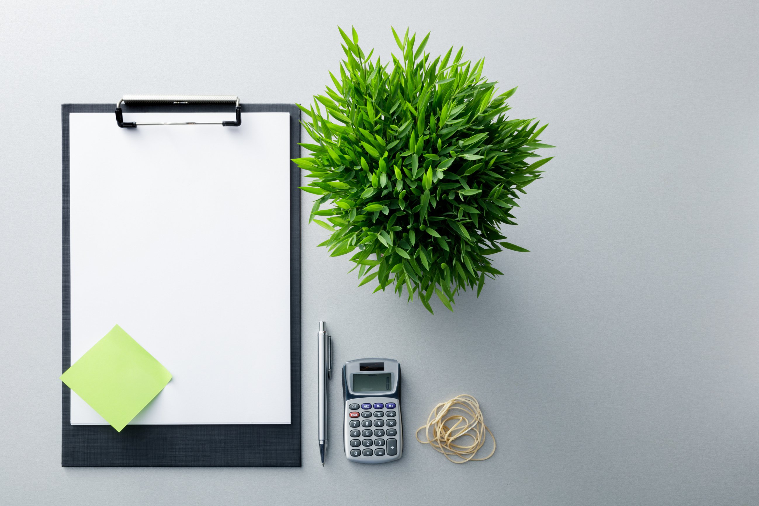 Office: Clipboard, Office Supplies and Plant Still Life